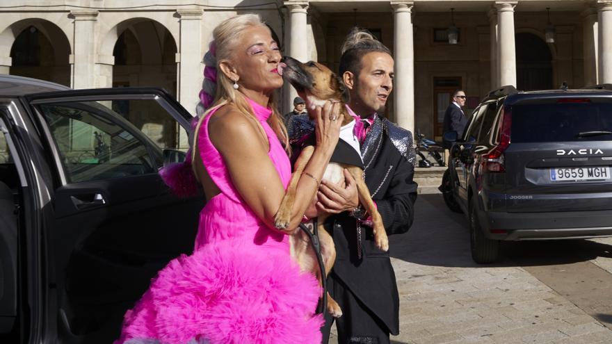 ¿Animales en las bodas? El perro Mak abre la puerta de las ceremonias a las mascotas