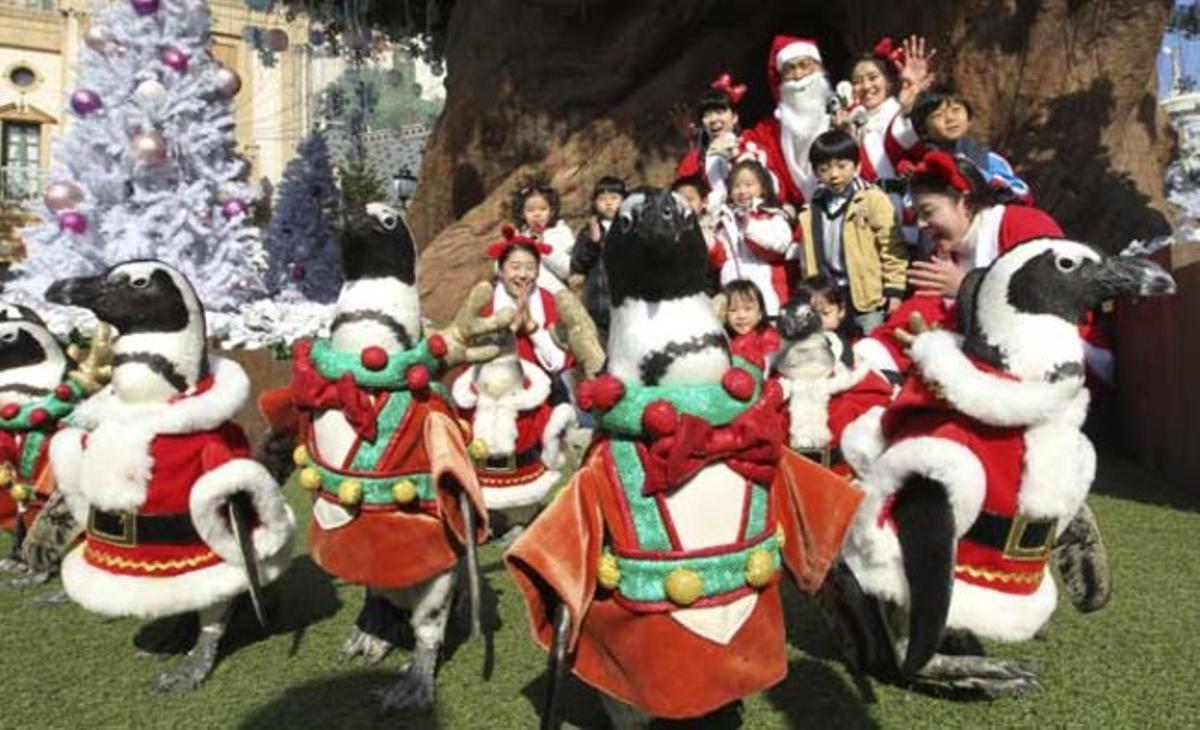Pingüins disfressats de Pare Noel per promocionar un parc d’atraccions a Yongin (Corea del Sud). El Nadal és una de les festes més populars per als sud-coreans, ja que gairebé la meitat són cristians.
