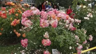 España roza el triunfo en el concurso internacional de rosales de Madrid