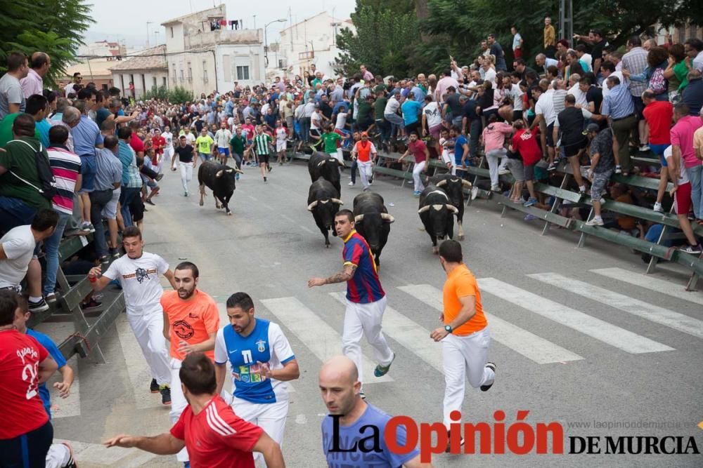 Primer encierro en Calasparra