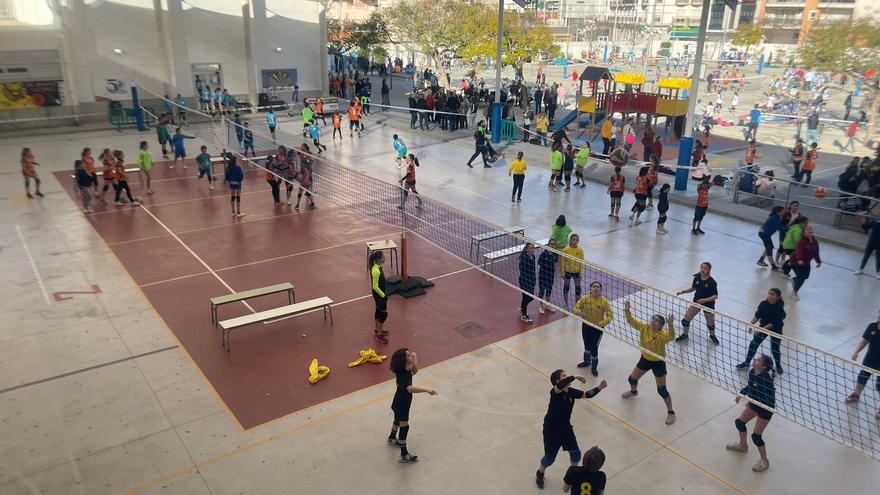 El CV Arenas se luce en la fase provincial alevín