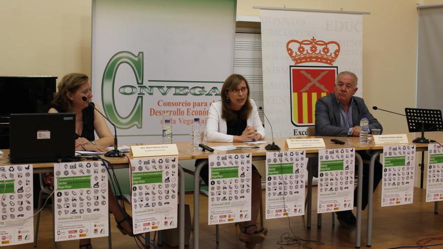 El sector agroalimentario de la Vega Baja se da cita en la I edición de los &quot;Encuentros Innovadores&quot;