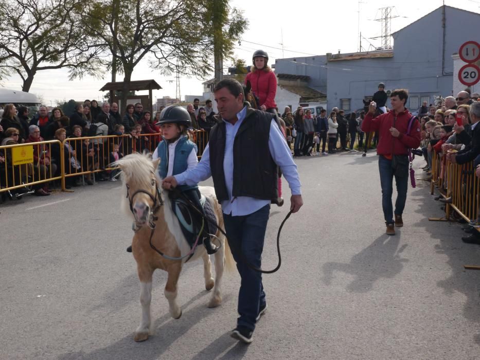 Fiesta de Sant Antoni Abad de Vera