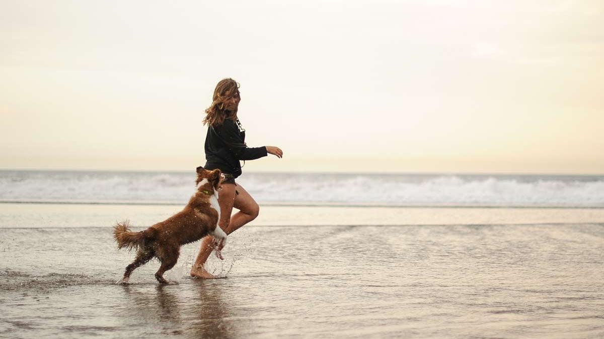 Día Mundial del Perro: las mejores playas para perros y mascotas de España, 'dog friendly'