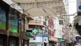 Luces en las calles y flores en los huertos listas para las Fiestas de Elche