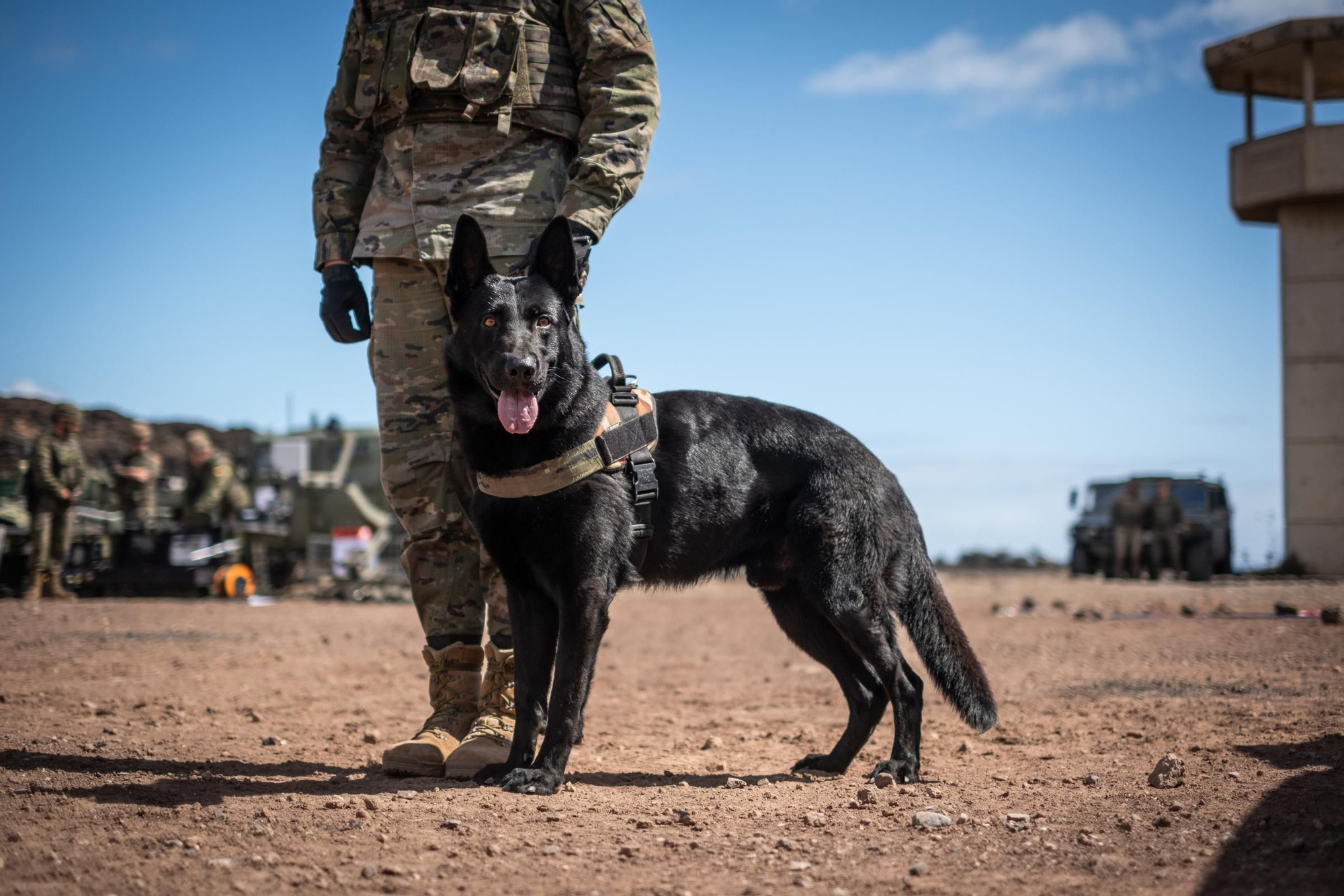 Maniobras militares en Canarias