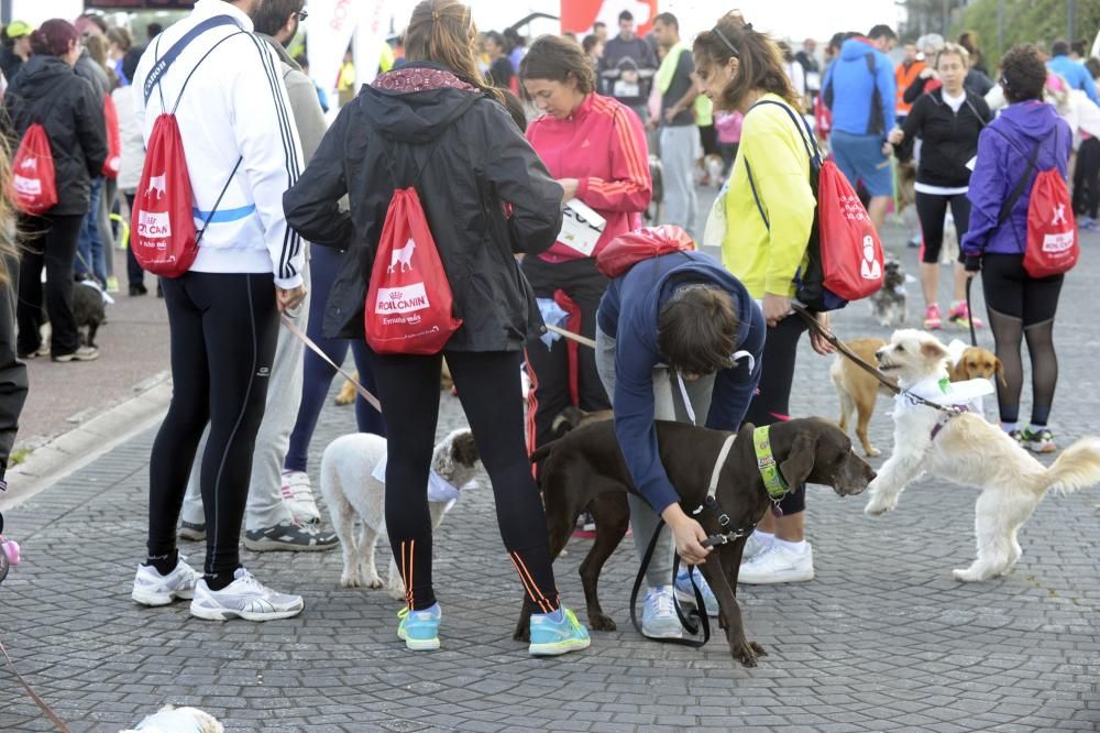 Correcán Solidario en la zona de la Torre