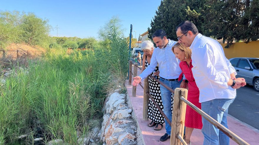El PSOE exige que se informe &quot;con transparencia&quot; a los vecinos sobre la presencia de mosquitos con el virus del Nilo en Campanillas