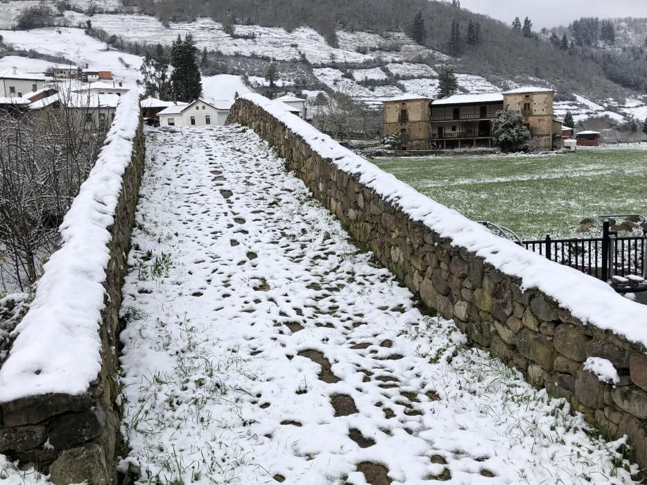 Las 40 fotos que te harán echar de menos el invierno (y la nieve) en Asturias