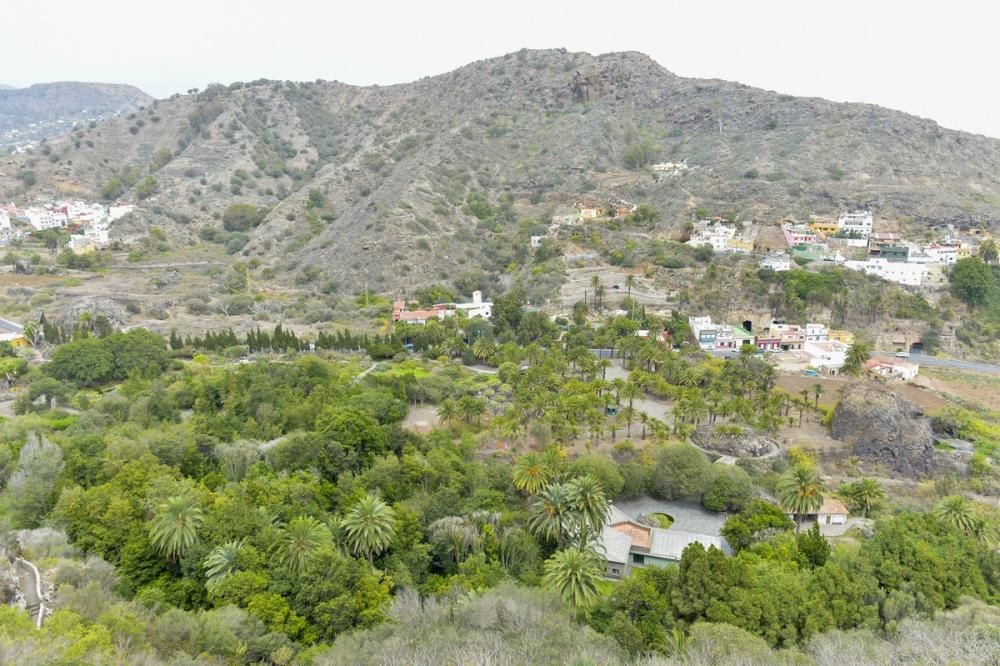 El Jardín Canario para evadirse del confinamiento