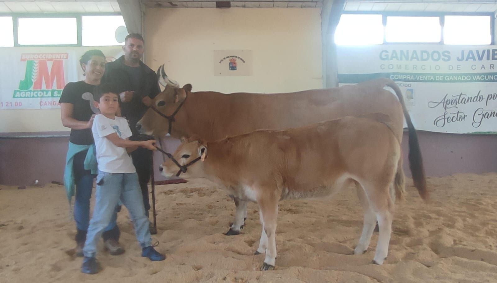 En imágenes: Las reses premiados en el concurso de Asturiana de los Valles de San Martín de Oscos