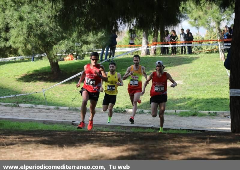 XLI Cros Ciutat de Castelló