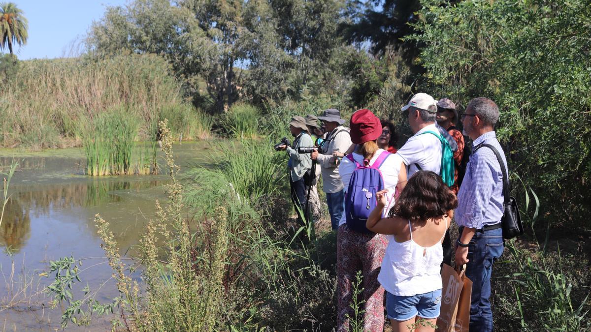 Visitantes en el paraje natural del Clot de Galvany fotografiando aves