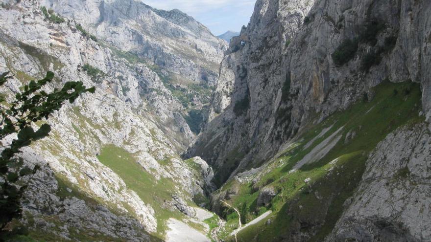 Nuevo accidente en los Picos de Europa: evacuado en helicóptero un montañero herido en una pierna en la canal del Texu