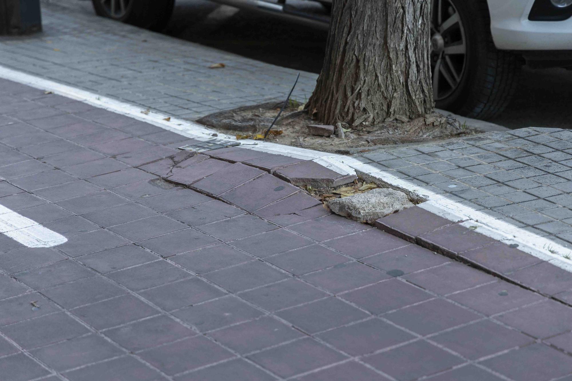 La falta de mantenimiento convierte este carril bici en una montaña rusa