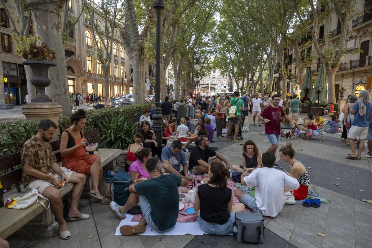 Los palmesanos recuperan el Born: "Hoy el paseo es nuestro" Los palmesanos recuperan el Born: "Hoy el paseo es nuestro"