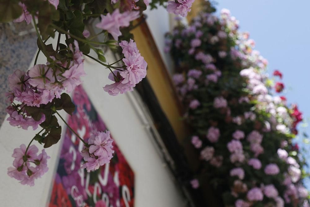 Premios rejas y balcones