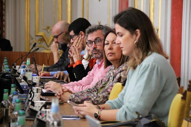 Pleno Ayuntamiento Las Palmas de Gran Canaria (30/11/22)