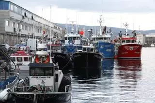 Los científicos apelan a reducir la presión sobre la sardina: recortan el cupo un 10%