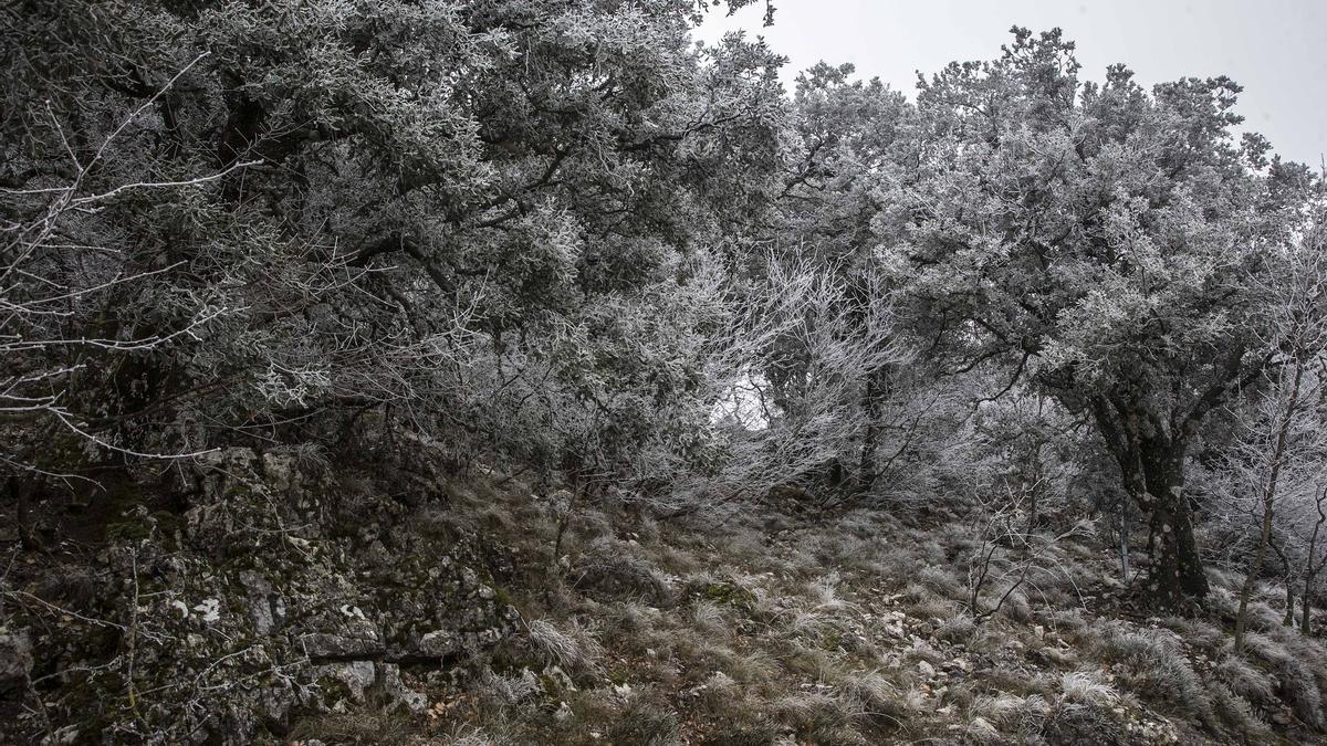 Bajas temperaturas y nieve en la Font Roja