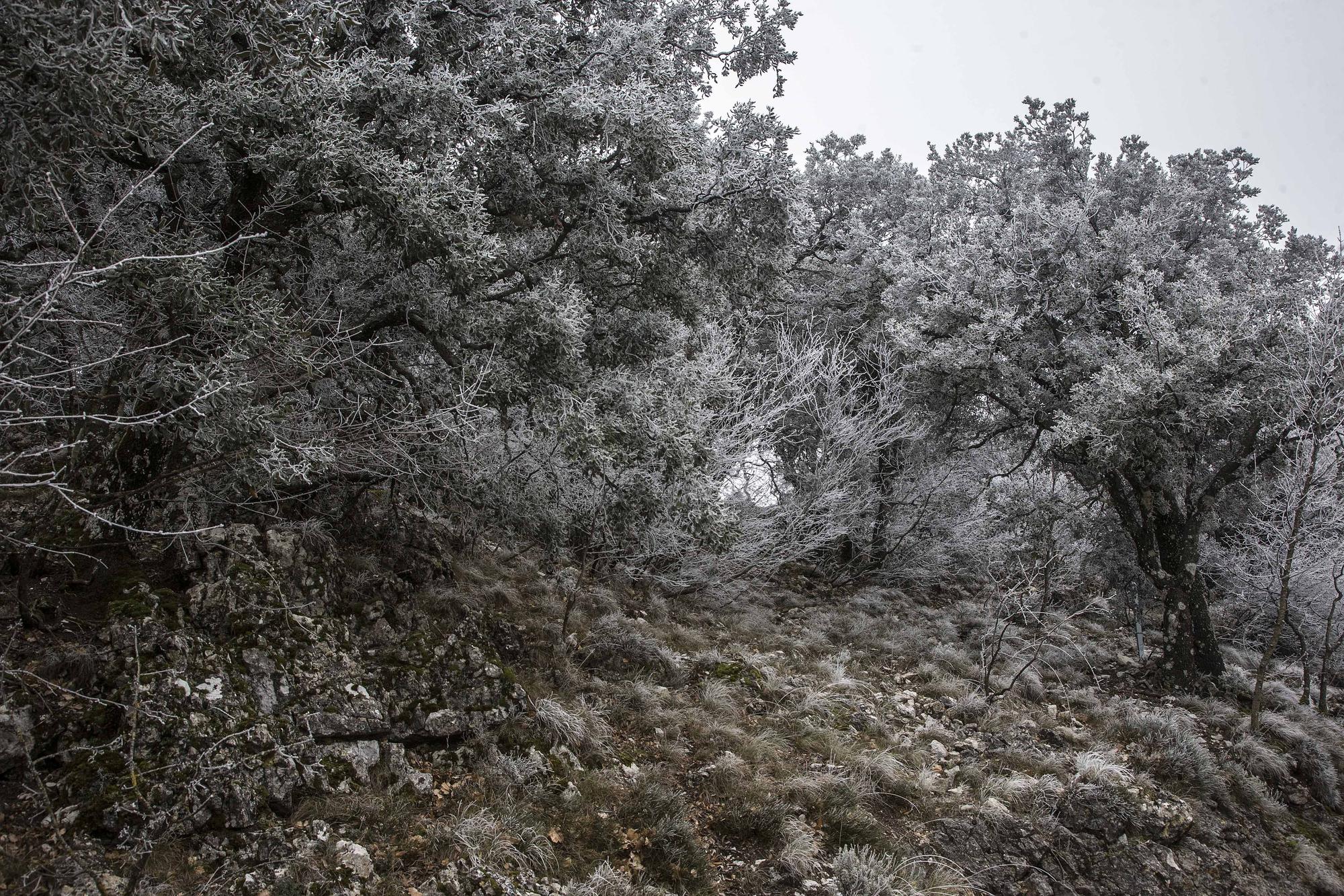 Altas temperatura y nieve en la Font Roja