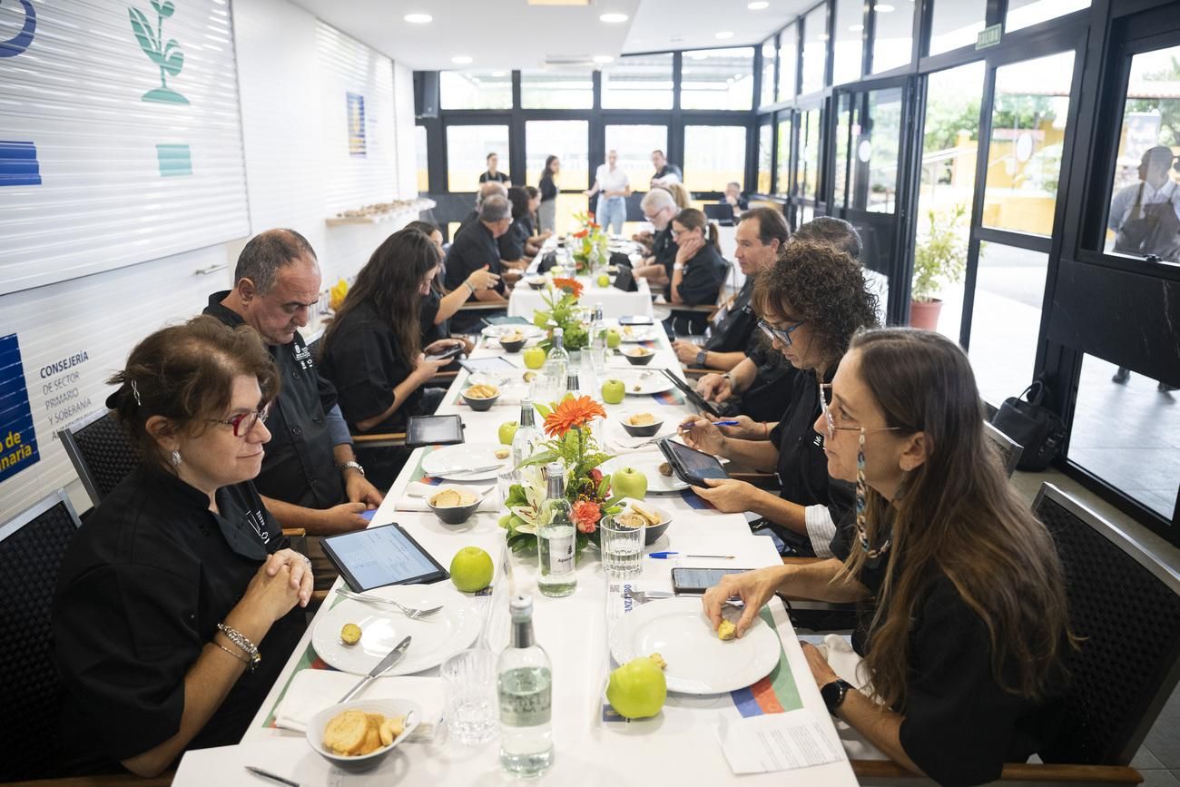 Concurso de cata de papas de Gran Canaria
