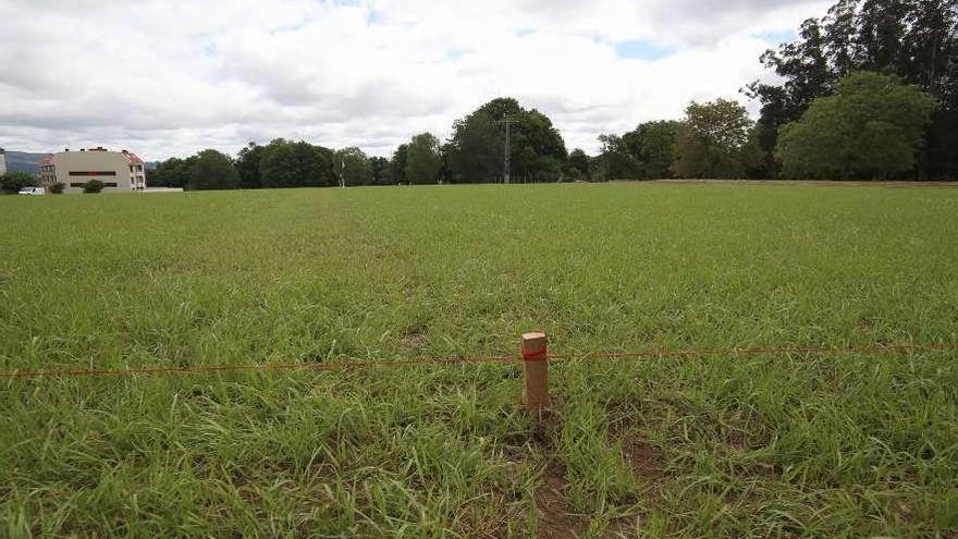 La nueva cancha de prácticas está situada en la calle Travesía do Campo. // Bernabé/Gutier