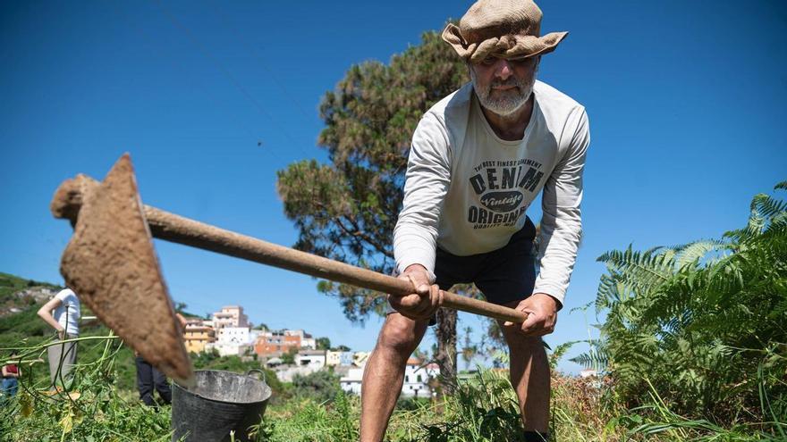 Las lluvias ponen en riesgo la próxima cosecha de papas en la Isla