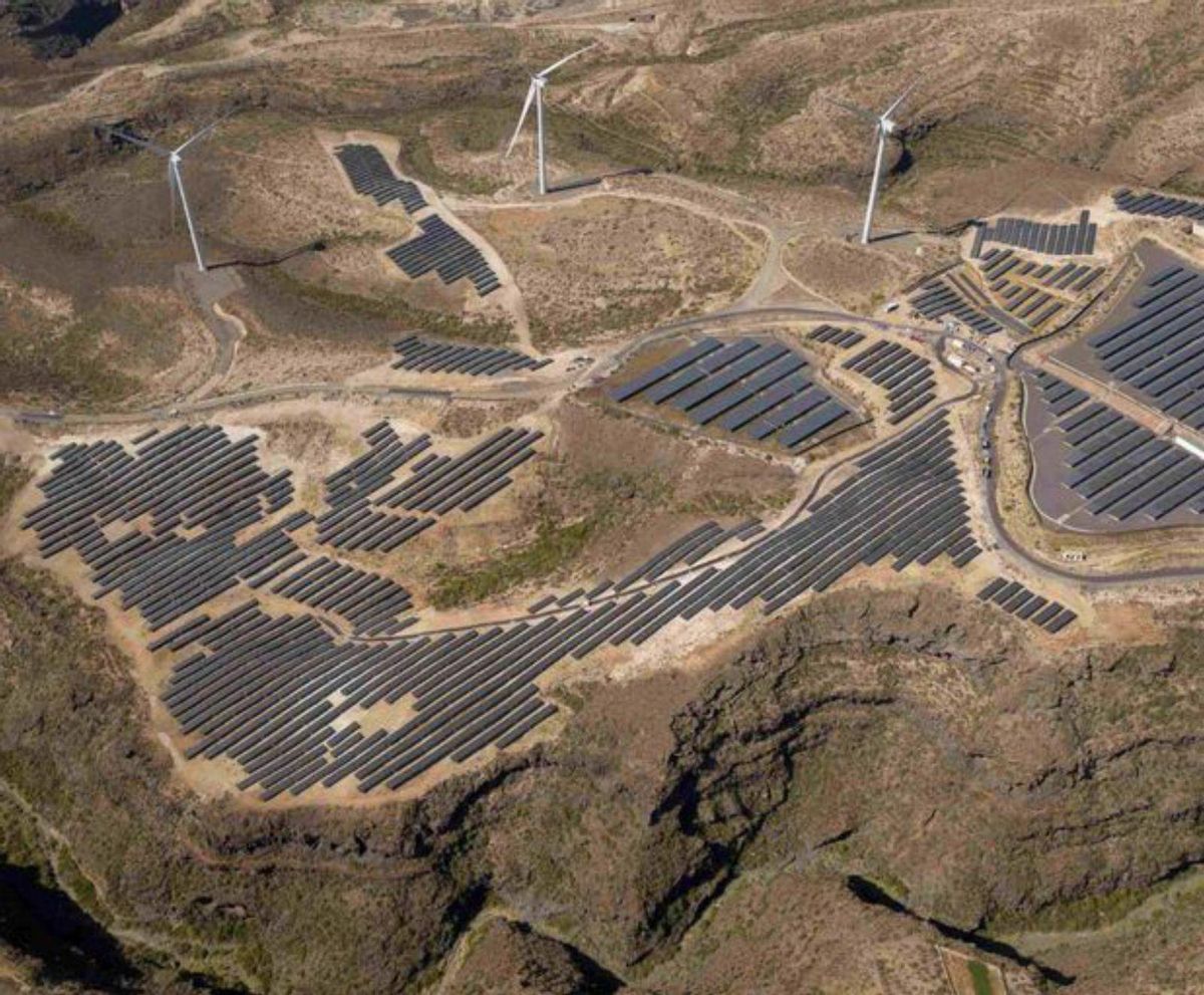 Gran parte de toda la energía consumida por el Grupo Loro Parque proviene de fuentes renovables, gracias a parques solares y eólicos propios . | | ED/LOT