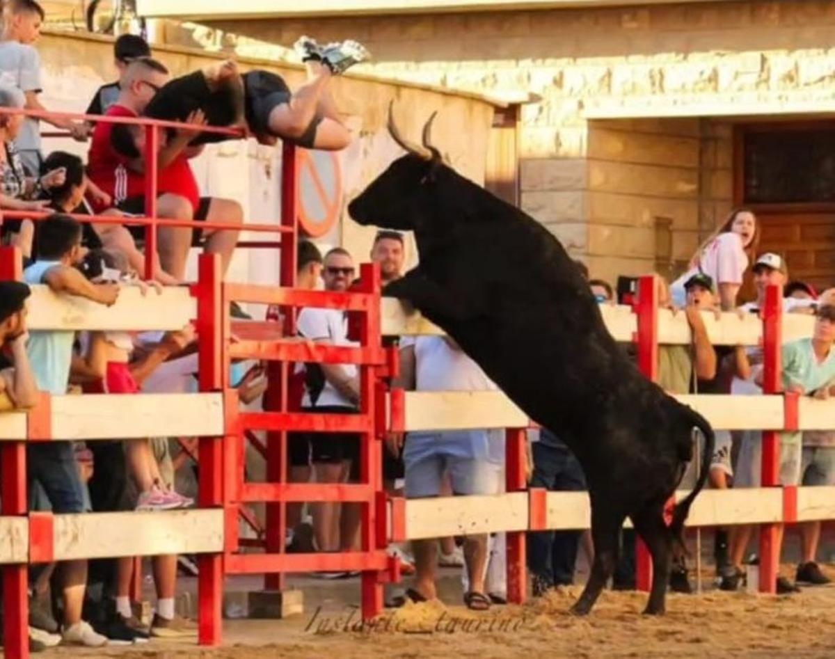 Ningún vecino se quiso perder los actos taurinos.