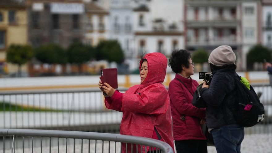 El 40% de las viviendas turísticas de Sevilla están expulsadas de las plataformas: hay 5.000 que incumplen la norma estatal