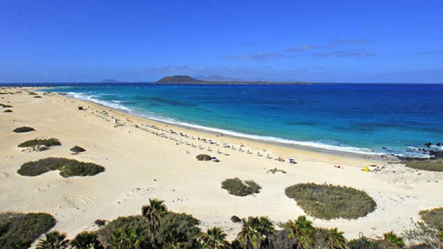 Vista de las dunas de Corralejo, en Fuerteven-tura.