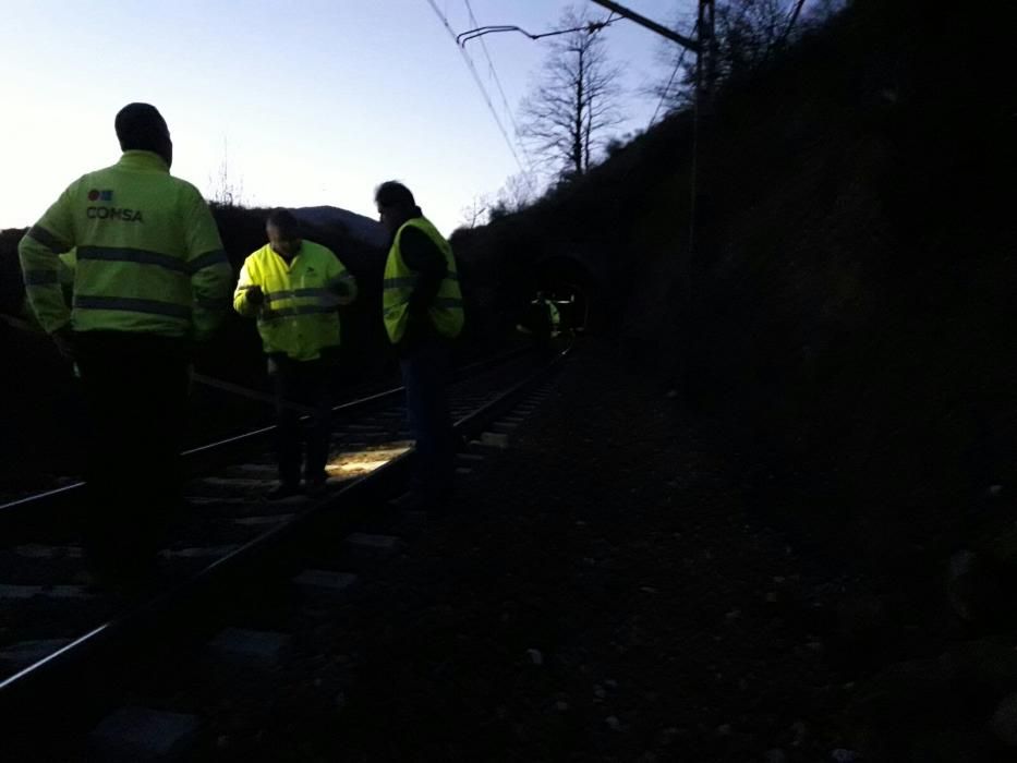 Descarrila un tren de mercancías en Lena