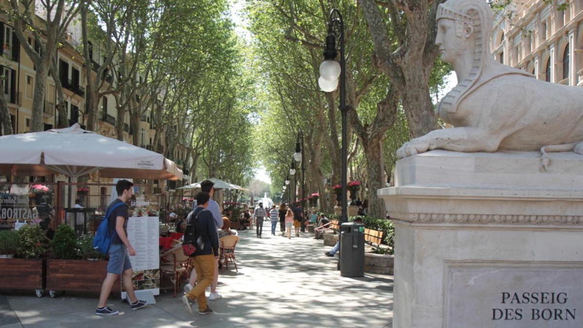 Mallorcas Prachtboulevard schlechthin: der Paseo del Borne (Passeig del Born).