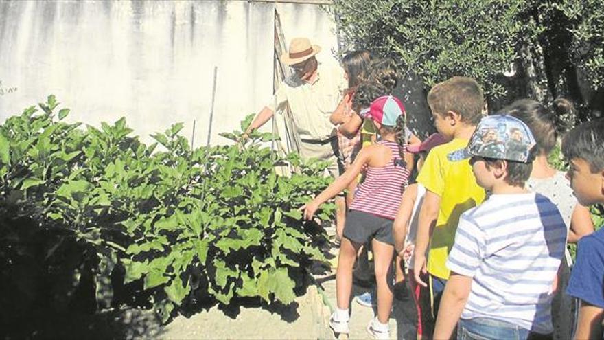 Un verano lleno de actividades y pasado por agua con muchos juegos