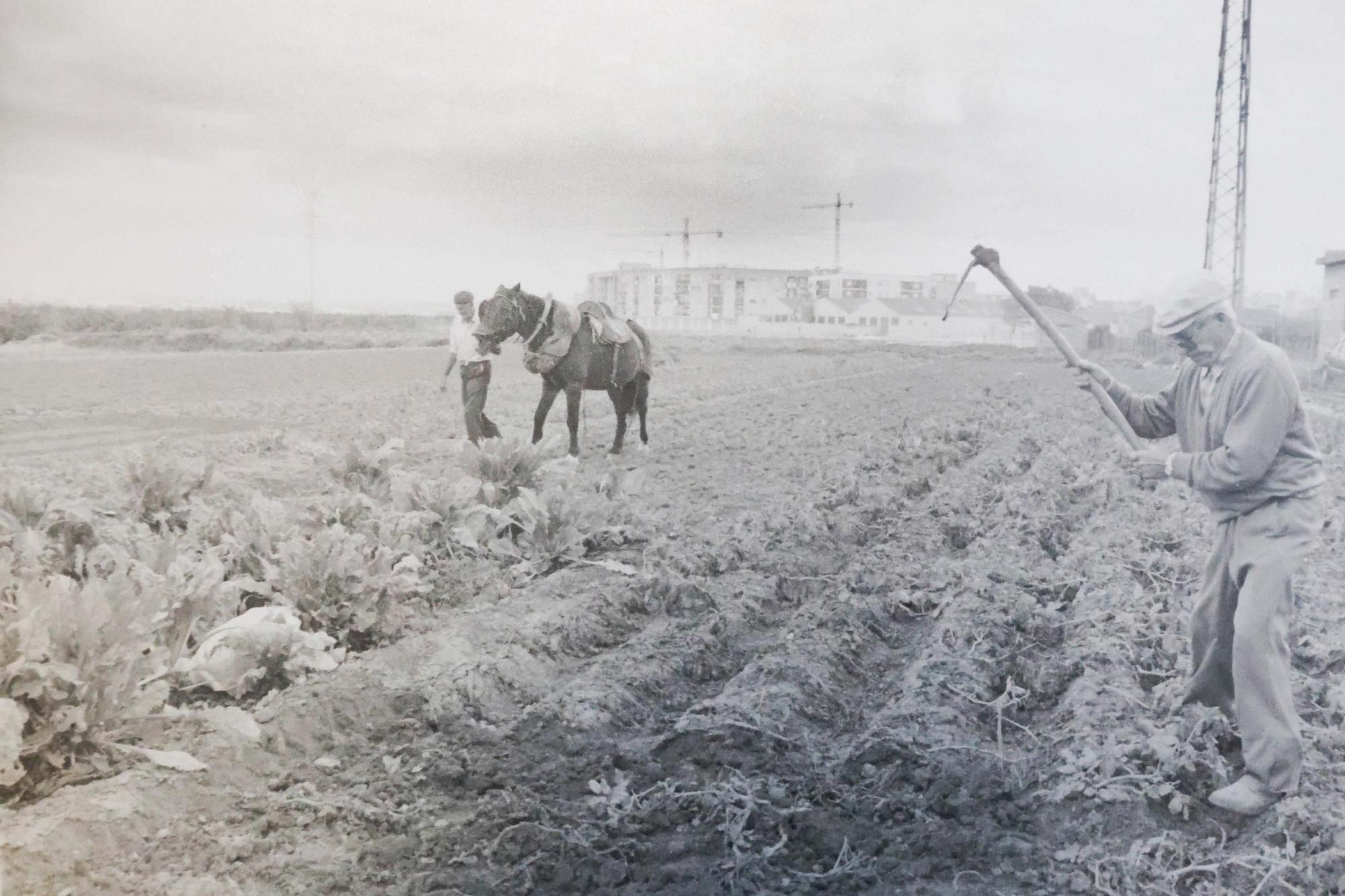 La Valencia desaparecida: Todo esto antes era huerta