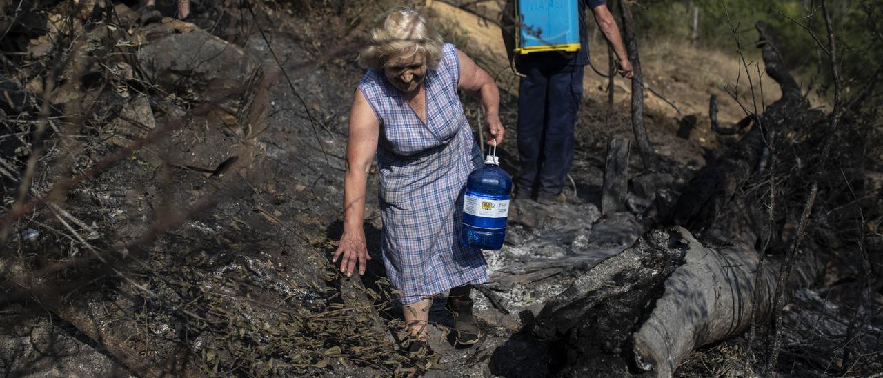 INCENDIO FORESTAL LOSACIO