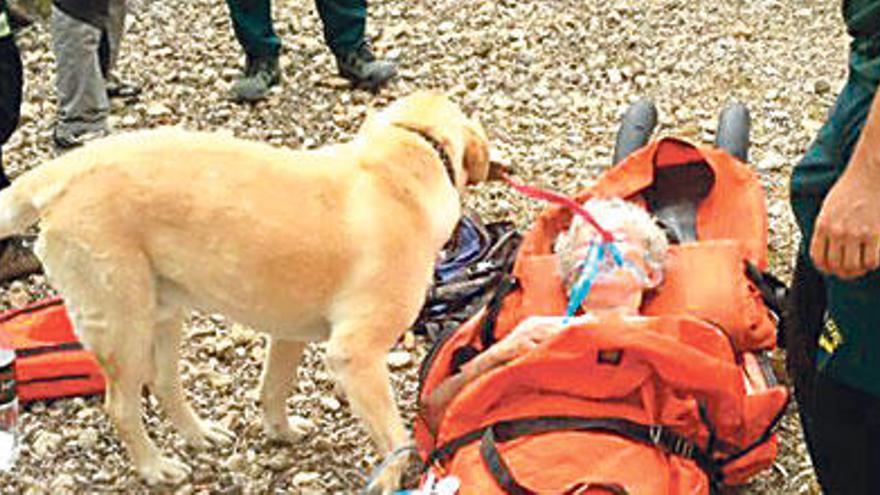 Bomberos bajo mínimos