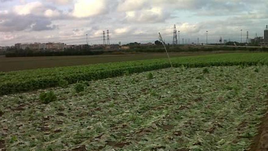 La Policía Local usará drones para vigilar los campos y la caza furtiva