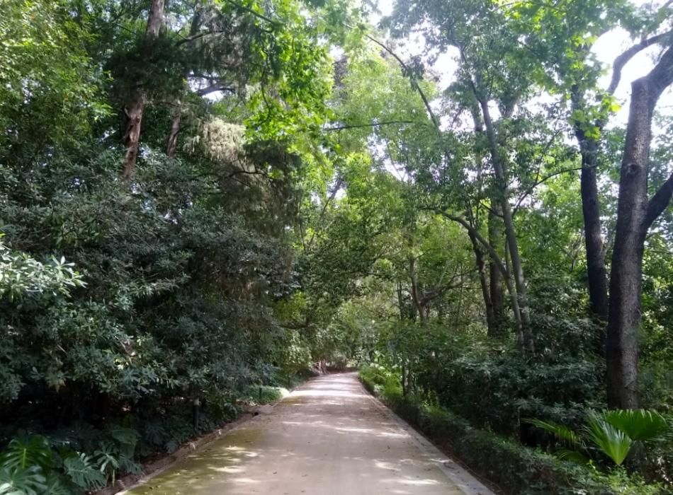 Floración en el Jardín de La Concepción.