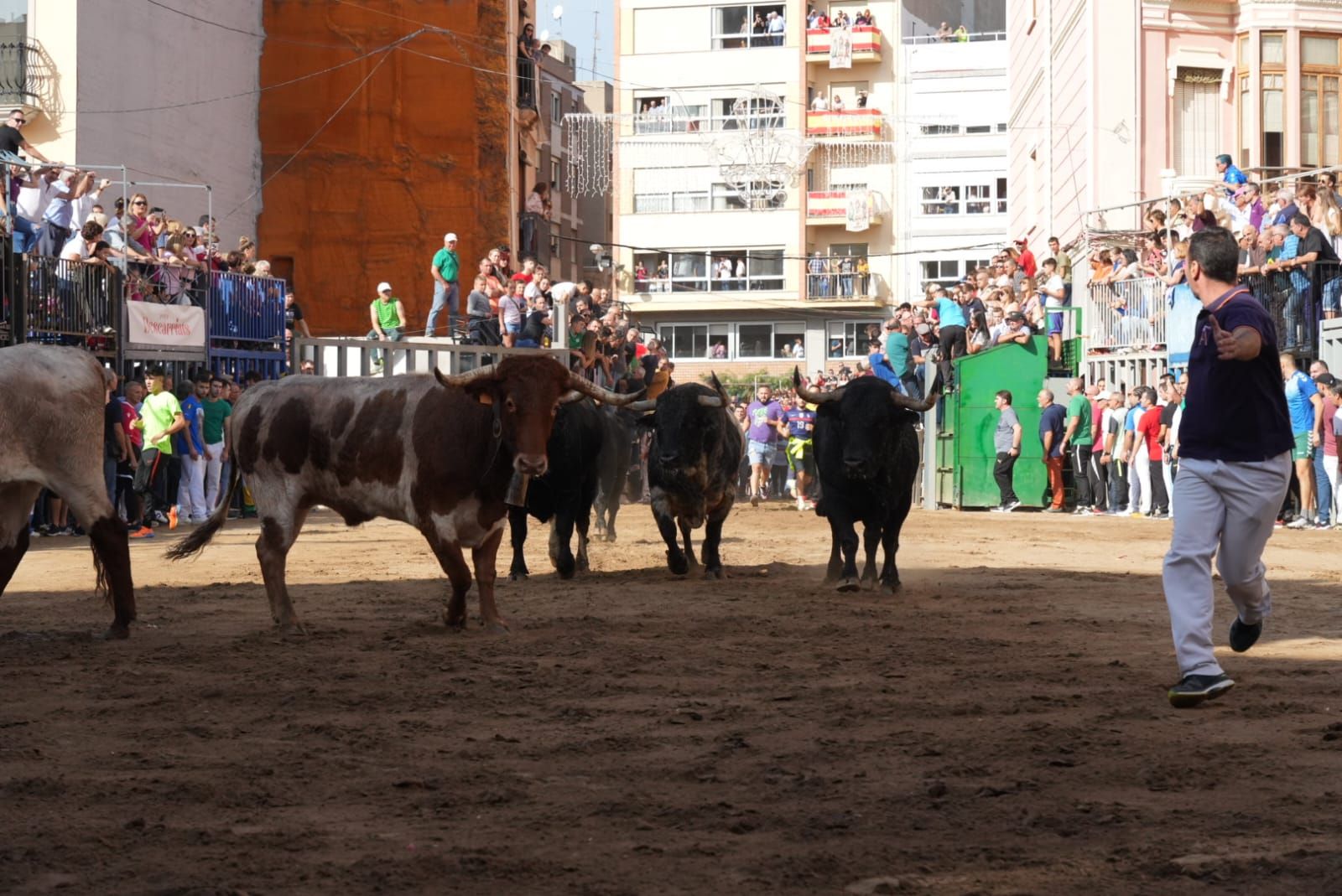 Las mejores imágenes del encierro de  Couto de Fornilhos y Santa Teresa en Onda