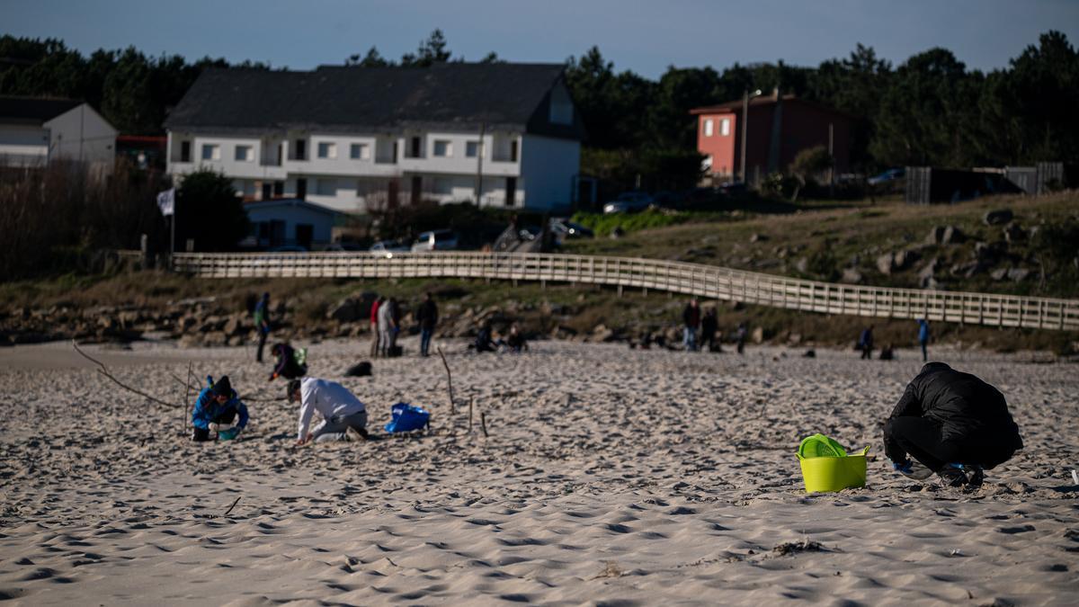 Voluntarios hacen una recogida de pellets de la arena, Galicia, a 7 de enero de 2024, en A Coruña, Galicia (España). Grandes cantidades de pellets de plásticos llevan apareciendo, desde el 13 de diciembre en las Rías Baixas y en la ría de Muros de Noia en