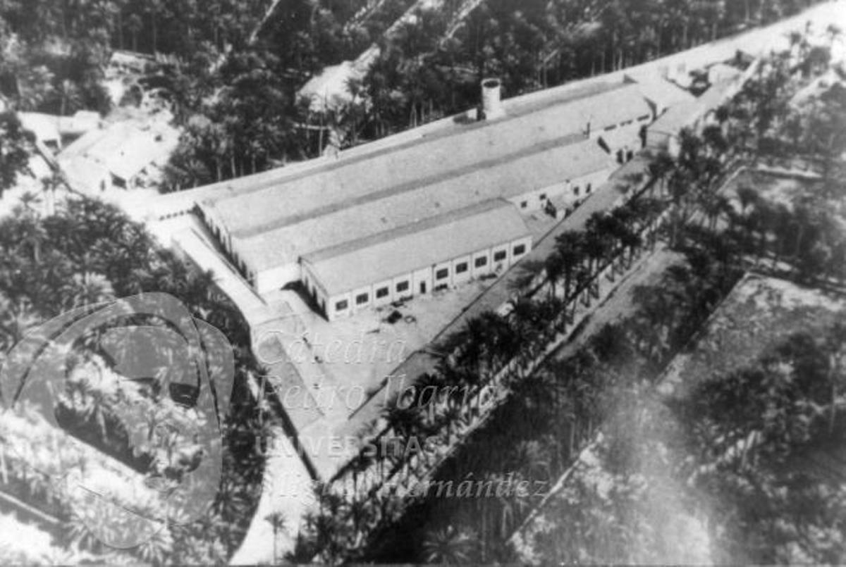 La antigua fábrica de la Hiladora, en el corazón del Palmeral