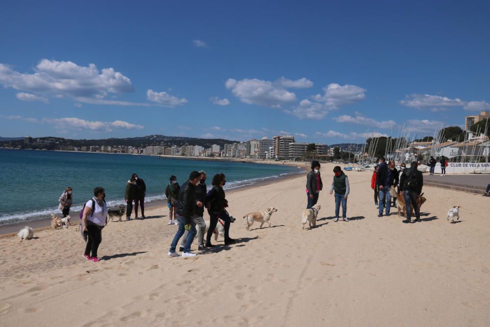 Veïns de Palamós reclamen a l'Ajuntament una platja adequada per a les mascotes