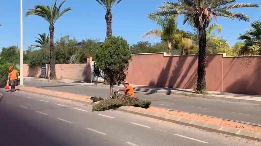 á indignando a vecinos de Cabo Roig en Orihuela Costa