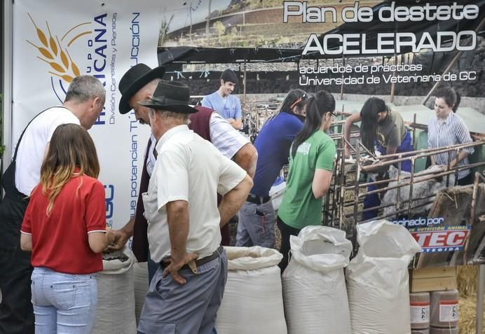 ARUCAS GRAN CANARIA A 27/05/2017. Feria de Ganado en la Granja del Cabildo de Gran Canaria. FOTO: J.PÉREZ CURBELO