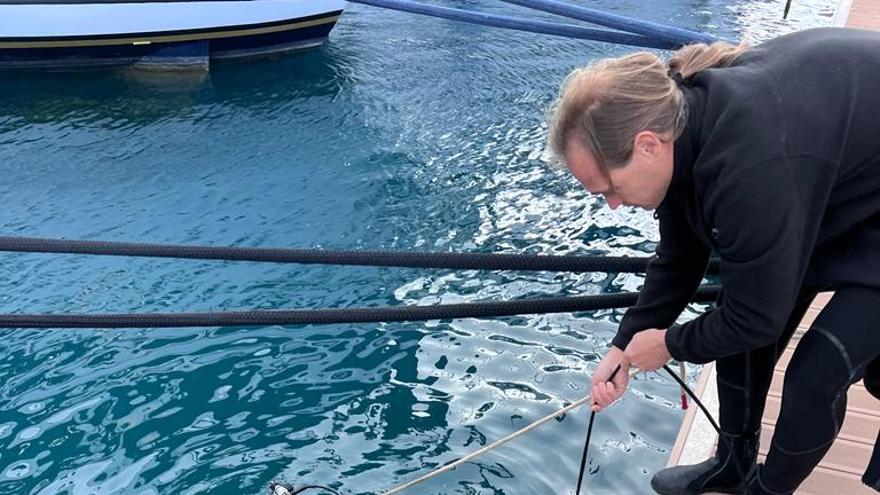 Port Adriano instala una tecnología de última generación para regenerar la vida marina en microarrecifes