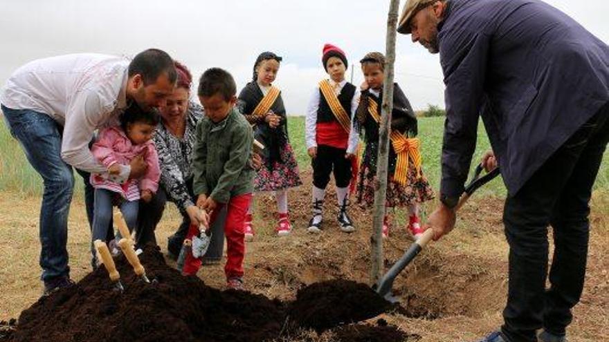 Calaf dóna la benvinguda als nadons del 2016 i planta una alzina en l&#039;Arrela&#039;t