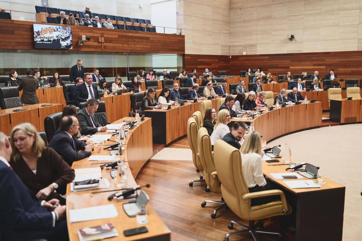 Fotogalería | El pleno de la Asamblea de Extremadura en imágenes