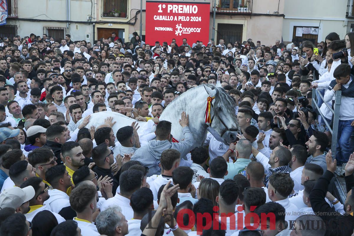 Entrega de premios del concurso de 'Caballo a pelo' en Caravaca